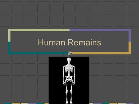 Human Remains.