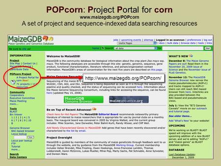 1 POPcorn: Project Portal for corn   A set of project and sequence-indexed data searching resources.