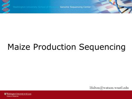 Maize Production Sequencing