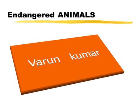 Endangered ANIMALS. Mammals Birds Insects Fish Endangered Animals.
