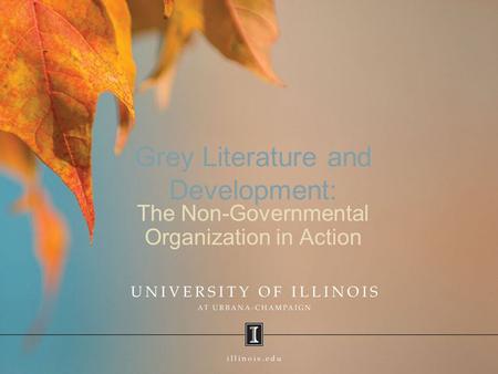 Grey Literature and Development: The Non-Governmental Organization in Action.