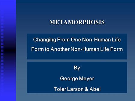 METAMORPHOSISMETAMORPHOSIS Changing From One Non-Human Life Form to Another Non-Human Life Form By George Meyer Toler Larson & Abel.