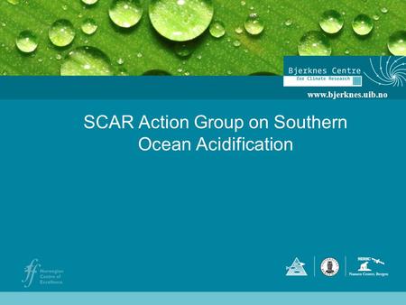 SCAR Action Group on Southern Ocean Acidification www.bjerknes.uib.no.