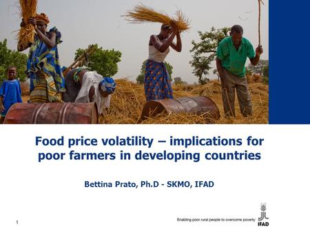 Food price volatility – implications for poor farmers in developing countries Bettina Prato, Ph.D - SKMO, IFAD 1.