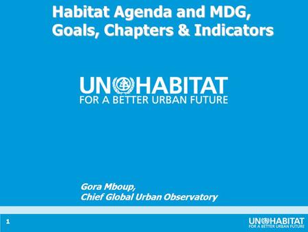 1 Habitat Agenda and MDG, Goals, Chapters & Indicators Gora Mboup, Chief Global Urban Observatory.