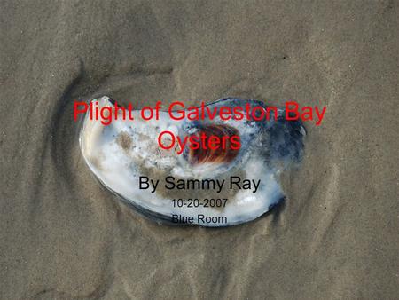 Plight of Galveston Bay Oysters By Sammy Ray 10-20-2007 Blue Room.