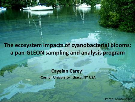 The ecosystem impacts of cyanobacterial blooms: a pan-GLEON sampling and analysis program Cayelan Carey 1 1 Cornell University, Ithaca, NY USA Photo: Louise.