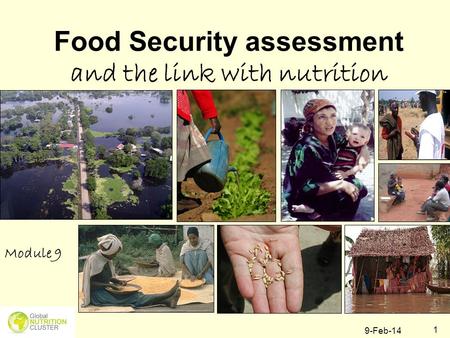 Food Security assessment and the link with nutrition