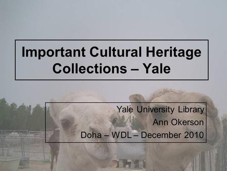 Important Cultural Heritage Collections – Yale Yale University Library Ann Okerson Doha – WDL – December 2010.