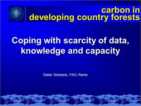 Coping with scarcity of data, knowledge and capacity carbon in developing country forests Dieter Schoene, FAO, Rome.