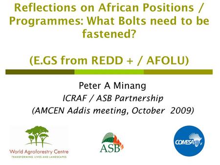 Reflections on African Positions / Programmes: What Bolts need to be fastened? (E.GS from REDD + / AFOLU) Peter A Minang ICRAF / ASB Partnership (AMCEN.