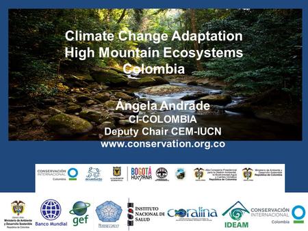 Climate Change Adaptation High Mountain Ecosystems Colombia Ángela Andrade CI-COLOMBIA Deputy Chair CEM-IUCN www.conservation.org.co.