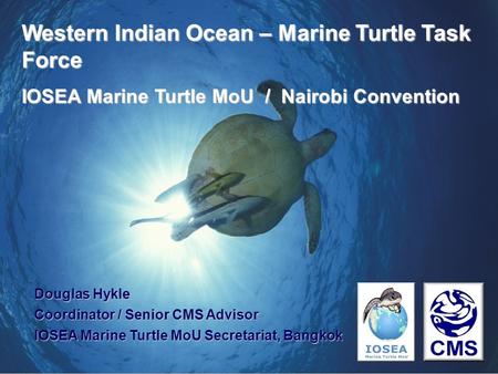 Western Indian Ocean – Marine Turtle Task Force
