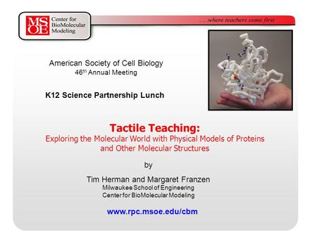 Tactile Teaching: Exploring the Molecular World with Physical Models of Proteins and Other Molecular Structures by Tim Herman and Margaret Franzen Milwaukee.