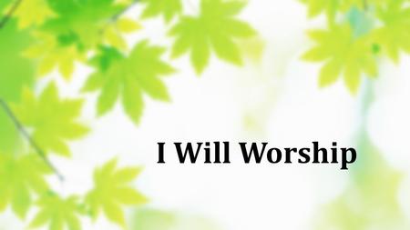 I Will Worship. I will worship, With all of my heart I will praise you, With all of my strength I will seek you, All of my days I will follow, Follow.