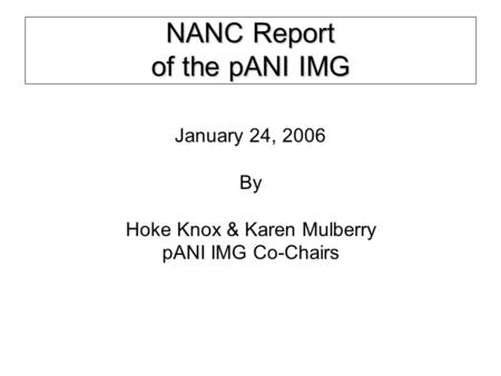 NANC Report of the pANI IMG January 24, 2006 By Hoke Knox & Karen Mulberry pANI IMG Co-Chairs.