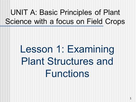 Lesson 1: Examining Plant Structures and Functions