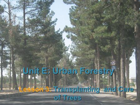 1 Unit E: Urban Forestry Transplanting and Care of Trees Lesson 3: Transplanting and Care of Trees.