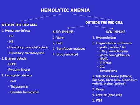 HEMOLYTIC ANEMIA OUTSIDE THE RED CELL WITHIN THE RED CELL