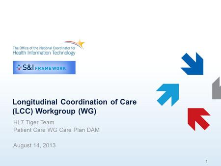 Longitudinal Coordination of Care (LCC) Workgroup (WG) HL7 Tiger Team Patient Care WG Care Plan DAM August 14, 2013 1.