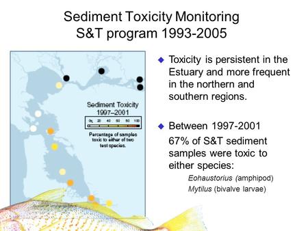 Sediment Toxicity Monitoring S&T program 1993-2005 Toxicity is persistent in the Estuary and more frequent in the northern and southern regions. Between.