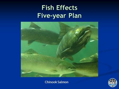 Fish Effects Five-year Plan Chinook Salmon. Outline Management and Regulatory Context Management and Regulatory Context RMP objectives RMP objectives.