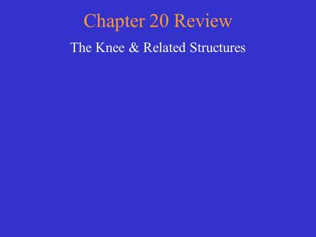 The Knee & Related Structures
