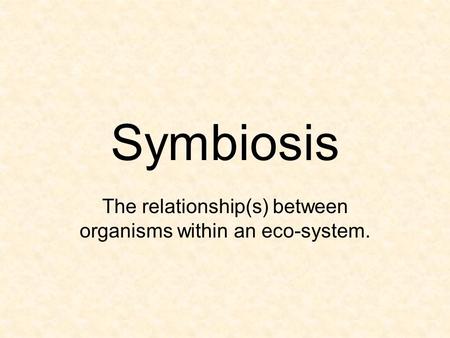 The relationship(s) between organisms within an eco-system.