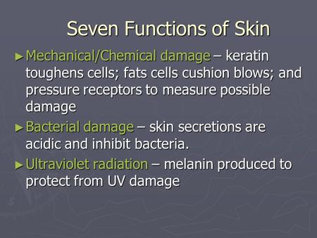 Seven Functions of Skin