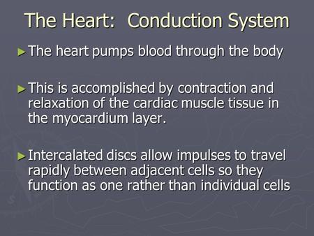 The Heart: Conduction System