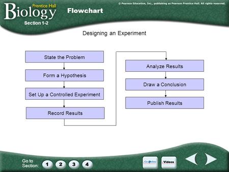 Flowchart Designing an Experiment State the Problem Analyze Results