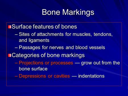 Bone Markings Surface features of bones Categories of bone markings