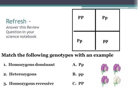 Refresh – Answer this Review Question in your science notebook