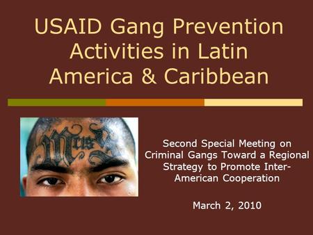 Second Special Meeting on Criminal Gangs Toward a Regional Strategy to Promote Inter- American Cooperation March 2, 2010 USAID Gang Prevention Activities.