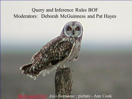 McGuinness Oct 17, 2002 1 Query and Inference Rules BOF Moderators: Deborah McGuinness and Pat Hayes Short-eared OwlShort-eared Owl Asio flammeus ; picture.