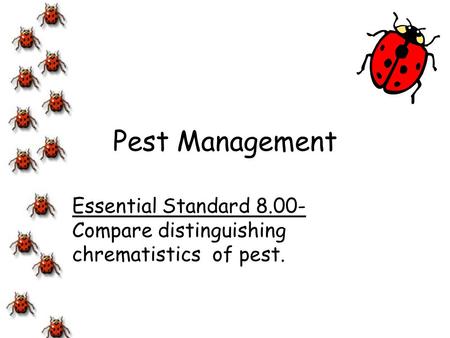 Essential Standard Compare distinguishing chrematistics of pest.