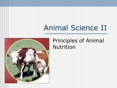 Animal Science II Principles of Animal Nutrition.