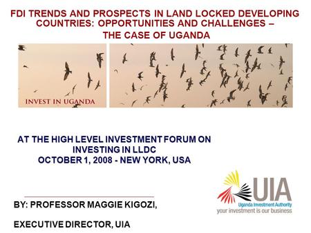 AT THE HIGH LEVEL INVESTMENT FORUM ON INVESTING IN LLDC OCTOBER 1, 2008 - NEW YORK, USA BY: PROFESSOR MAGGIE KIGOZI, EXECUTIVE DIRECTOR, UIA FDI TRENDS.