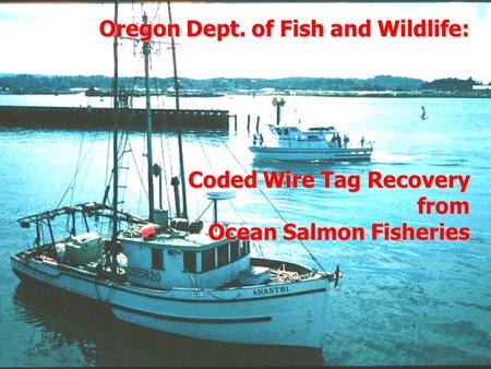 Oregon Dept. of Fish and Wildlife: Coded Wire Tag Recovery from Ocean Salmon Fisheries.
