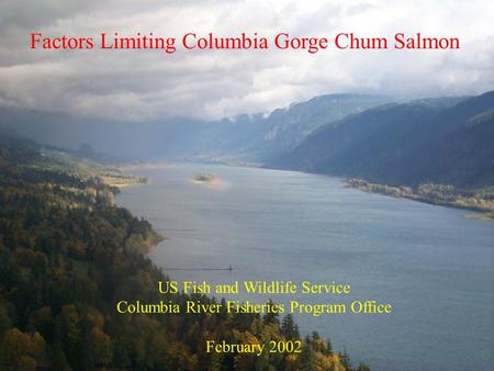 Factors Limiting Columbia Gorge Chum Salmon US Fish and Wildlife Service Columbia River Fisheries Program Office February 2002.