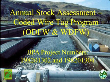 Annual Stock Assessment – Coded Wire Tag Program (ODFW & WDFW) BPA Project Numbers: 198201302 and 198201304.
