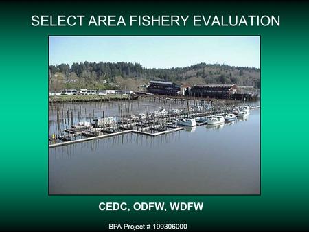 SELECT AREA FISHERY EVALUATION BPA Project # 199306000 CEDC, ODFW, WDFW.