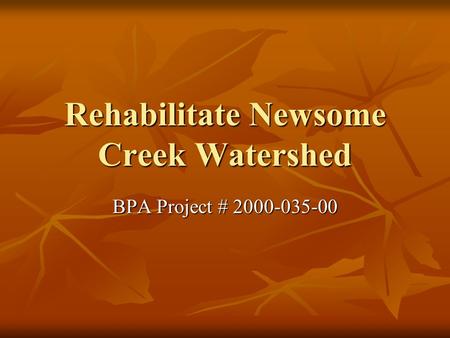 Rehabilitate Newsome Creek Watershed BPA Project # 2000-035-00.