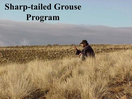 Sharp-tailed Grouse Program. Project Overview Our goal is to preserve and enhance viable Sharp-tailed grouse populations on suitable habitat within their.