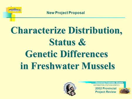 DISTRIBUTION, STATUS & GENTICS Recovering Freshwater Mussels 2002 Provincial Project Review Characterize Distribution, Status & Genetic Differences in.