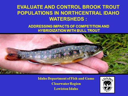 Idaho Department of Fish and Game Clearwater Region Lewiston Idaho EVALUATE AND CONTROL BROOK TROUT POPULATIONS IN NORTHCENTRAL IDAHO WATERSHEDS : ADDRESSING.