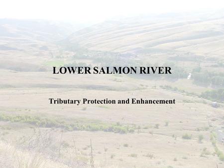 LOWER SALMON RIVER Tributary Protection and Enhancement.
