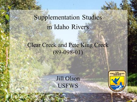 Supplementation Studies in Idaho Rivers Clear Creek and Pete King Creek (89-098-01) Jill Olson USFWS.