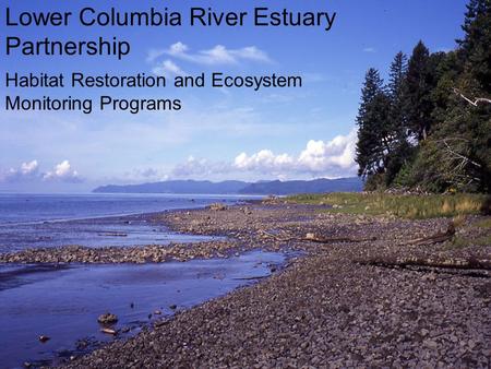 Lower Columbia River Estuary Partnership Habitat Restoration and Ecosystem Monitoring Programs.