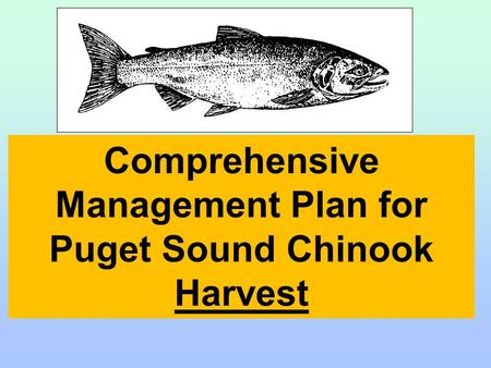 Comprehensive Management Plan for Puget Sound Chinook Harvest.